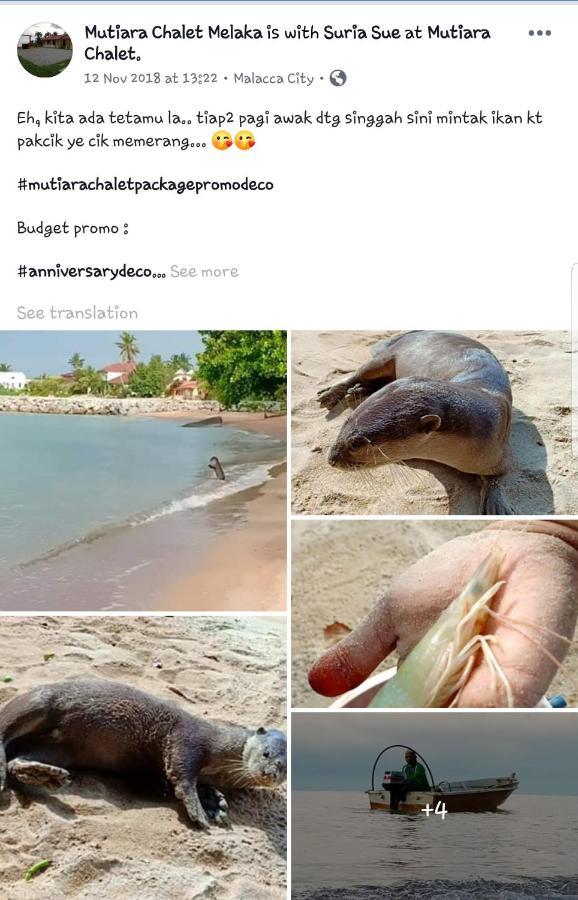 Mutiara Chalet Malacca Esterno foto